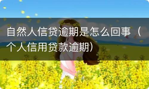 自然人信贷逾期是怎么回事（个人信用贷款逾期）