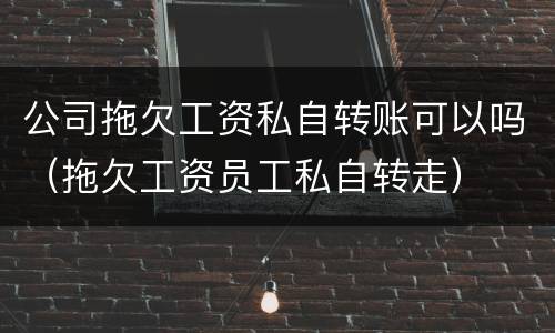 公司拖欠工资私自转账可以吗（拖欠工资员工私自转走）