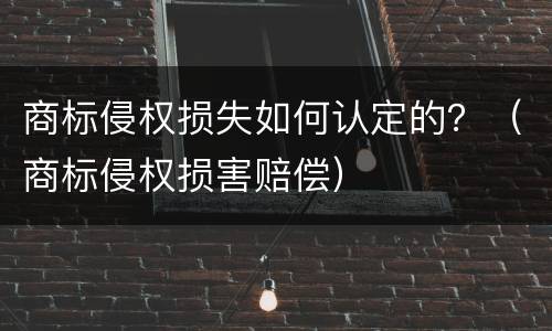 商标侵权损失如何认定的？（商标侵权损害赔偿）