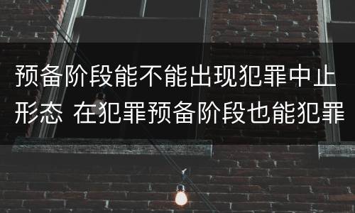 预备阶段能不能出现犯罪中止形态 在犯罪预备阶段也能犯罪中止