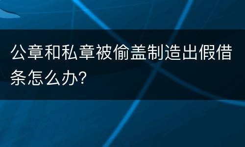 公章和私章被偷盖制造出假借条怎么办？