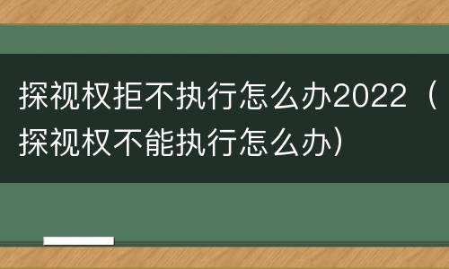 探视权拒不执行怎么办2022（探视权不能执行怎么办）