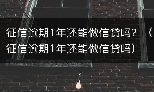征信逾期1年还能做信贷吗？（征信逾期1年还能做信贷吗）