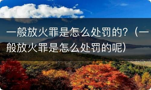一般放火罪是怎么处罚的?（一般放火罪是怎么处罚的呢）