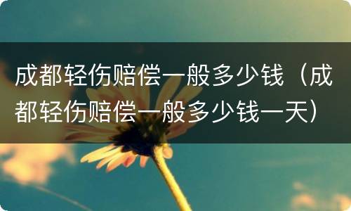 成都轻伤赔偿一般多少钱（成都轻伤赔偿一般多少钱一天）