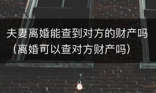 夫妻离婚能查到对方的财产吗（离婚可以查对方财产吗）