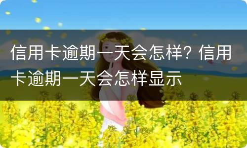 信用卡逾期一天会怎样? 信用卡逾期一天会怎样显示