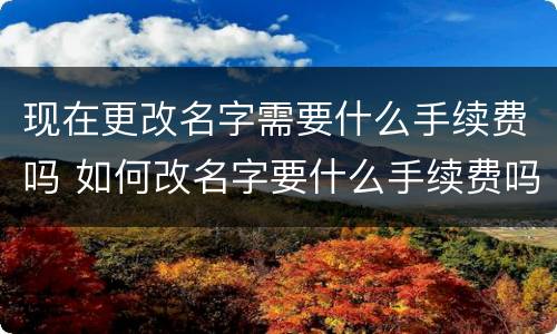 现在更改名字需要什么手续费吗 如何改名字要什么手续费吗