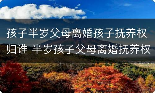 孩子半岁父母离婚孩子抚养权归谁 半岁孩子父母离婚抚养权是谁的