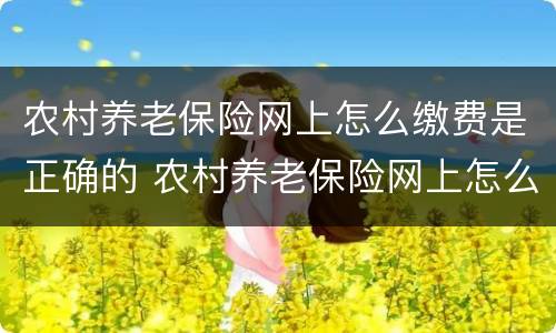 农村养老保险网上怎么缴费是正确的 农村养老保险网上怎么缴费是正确的呢