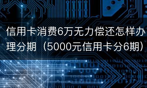信用卡消费6万无力偿还怎样办理分期（5000元信用卡分6期）
