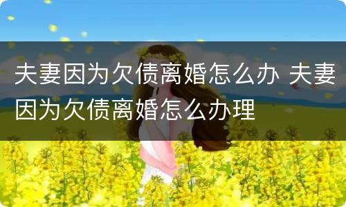 夫妻因为欠债离婚怎么办 夫妻因为欠债离婚怎么办理