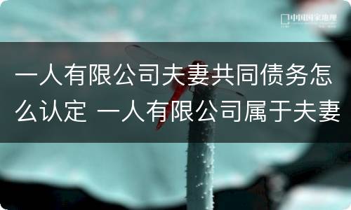 一人有限公司夫妻共同债务怎么认定 一人有限公司属于夫妻共同财产吗