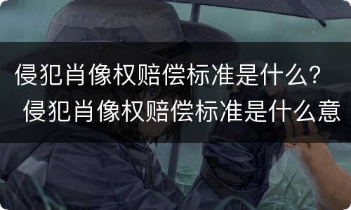 侵犯肖像权赔偿标准是什么？ 侵犯肖像权赔偿标准是什么意思