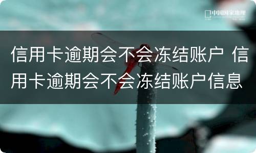 信用卡逾期会不会冻结账户 信用卡逾期会不会冻结账户信息