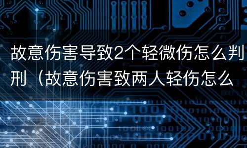 故意伤害导致2个轻微伤怎么判刑（故意伤害致两人轻伤怎么判）