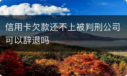 信用卡欠款还不上被判刑公司可以辞退吗