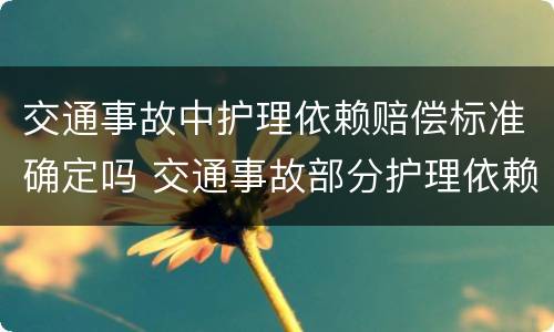 交通事故中护理依赖赔偿标准确定吗 交通事故部分护理依赖护理费如何计算