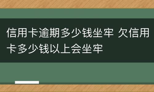 信用卡逾期多少钱坐牢 欠信用卡多少钱以上会坐牢