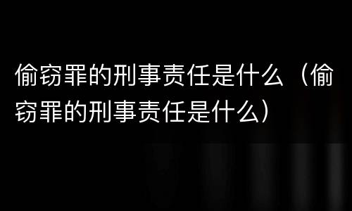偷窃罪的刑事责任是什么（偷窃罪的刑事责任是什么）