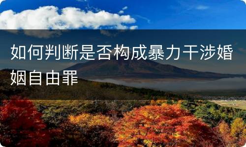 如何判断是否构成暴力干涉婚姻自由罪