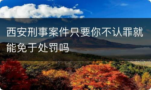 西安刑事案件只要你不认罪就能免于处罚吗