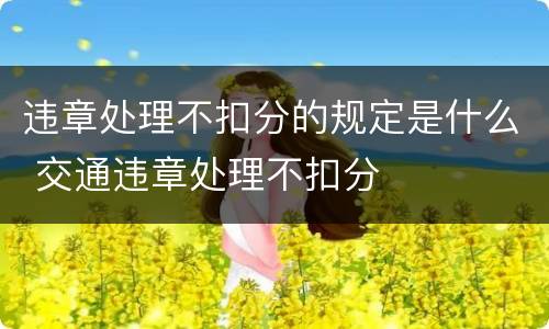 违章处理不扣分的规定是什么 交通违章处理不扣分