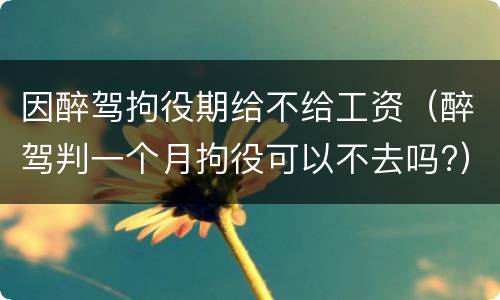 因醉驾拘役期给不给工资（醉驾判一个月拘役可以不去吗?）