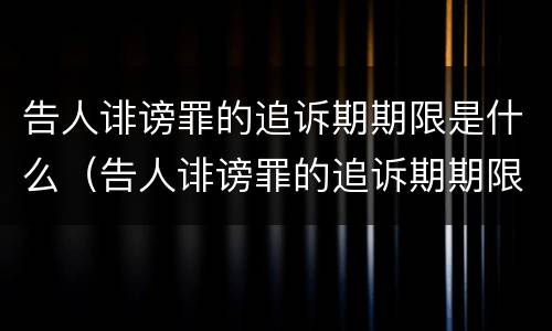 告人诽谤罪的追诉期期限是什么（告人诽谤罪的追诉期期限是什么意思）