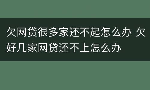 欠网贷很多家还不起怎么办 欠好几家网贷还不上怎么办