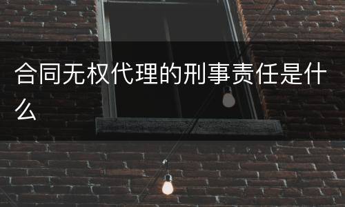 合同无权代理的刑事责任是什么