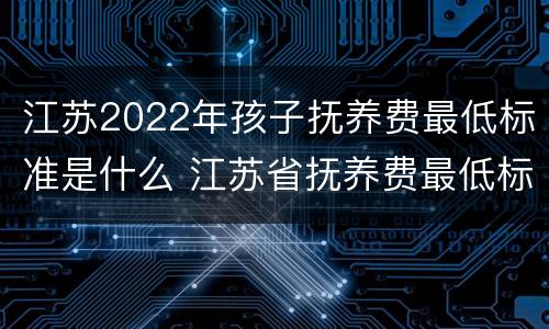 江苏2022年孩子抚养费最低标准是什么 江苏省抚养费最低标准是多少