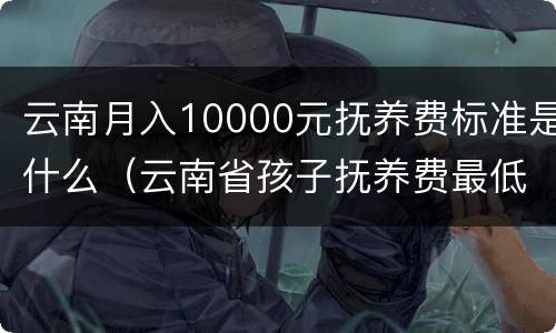 云南月入10000元抚养费标准是什么（云南省孩子抚养费最低标准是多少）