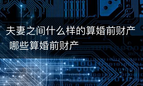夫妻之间什么样的算婚前财产 哪些算婚前财产