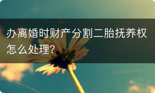 办离婚时财产分割二胎抚养权怎么处理？