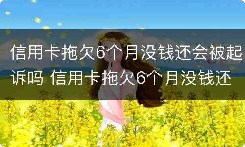 信用卡拖欠6个月没钱还会被起诉吗 信用卡拖欠6个月没钱还会被起诉吗