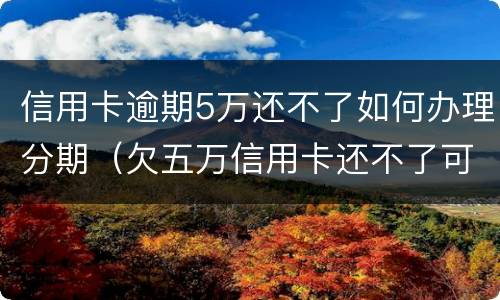信用卡逾期5万还不了如何办理分期（欠五万信用卡还不了可以分期还吗）