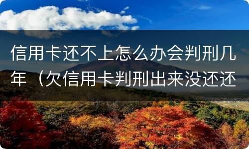 信用卡还不上怎么办会判刑几年（欠信用卡判刑出来没还还是要判刑吗）