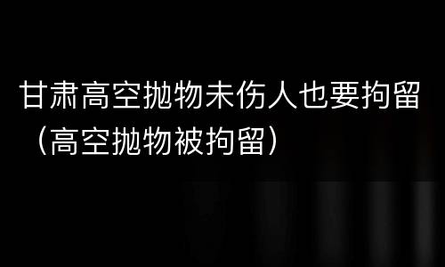 甘肃高空抛物未伤人也要拘留（高空抛物被拘留）