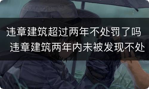 违章建筑超过两年不处罚了吗 违章建筑两年内未被发现不处罚