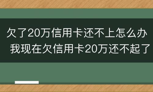 欠了20万信用卡还不上怎么办 我现在欠信用卡20万还不起了怎么办