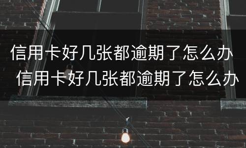 信用卡好几张都逾期了怎么办 信用卡好几张都逾期了怎么办呢