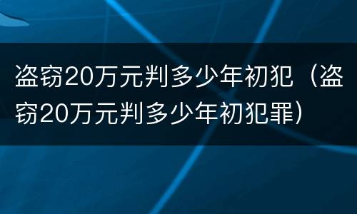 盗窃20万元判多少年初犯（盗窃20万元判多少年初犯罪）