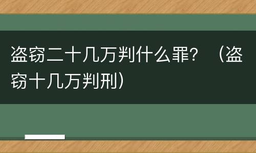 盗窃二十几万判什么罪？（盗窃十几万判刑）
