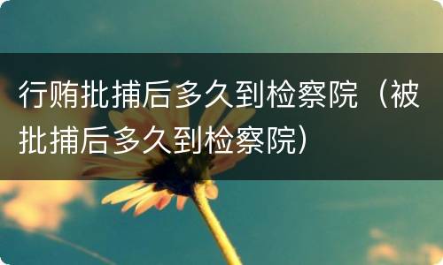 行贿批捕后多久到检察院（被批捕后多久到检察院）