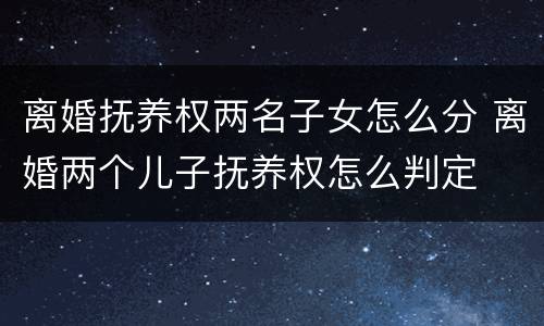 离婚抚养权两名子女怎么分 离婚两个儿子抚养权怎么判定