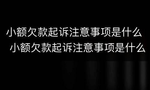 小额欠款起诉注意事项是什么 小额欠款起诉注意事项是什么意思