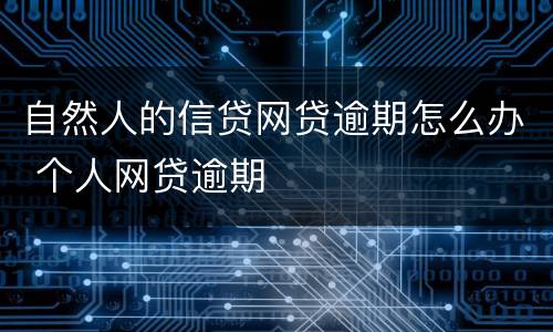 自然人的信贷网贷逾期怎么办 个人网贷逾期