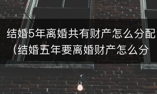 结婚5年离婚共有财产怎么分配（结婚五年要离婚财产怎么分）