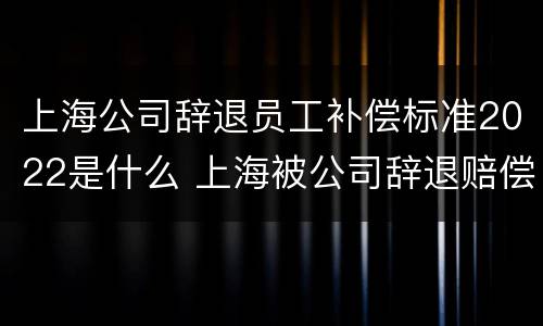 上海公司辞退员工补偿标准2022是什么 上海被公司辞退赔偿标准